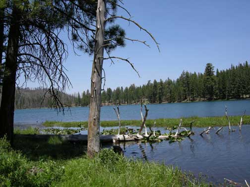Camp Blue Lake
